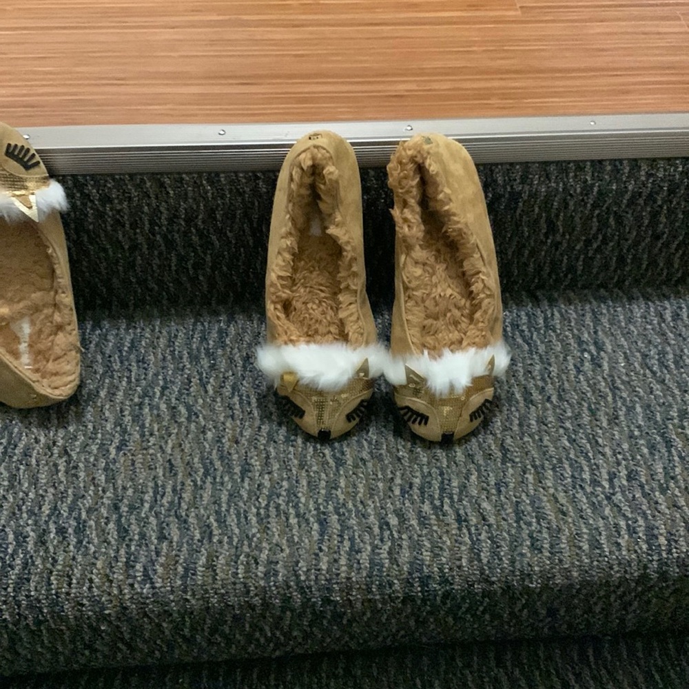 Kate ♠️ spade wolf slippers
